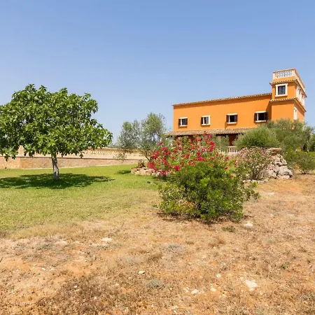 Birkadem Santa Margalida